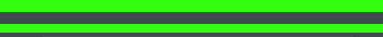 Zhanpai1.png