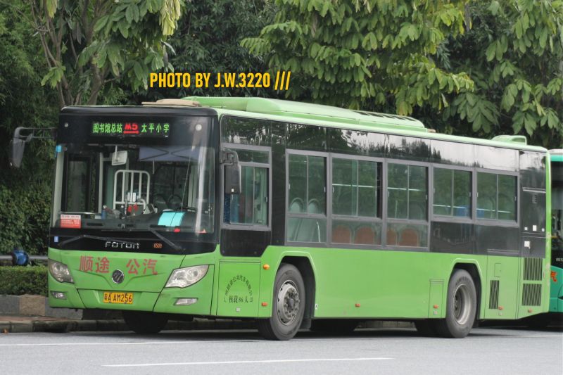 File:AM256 IamWarrenTheCat.JPG